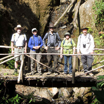 Frog Microhabitat Use and Diversity Study, Peruvian Amazon