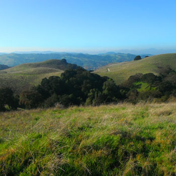 Fernandez Ranch Management Plan