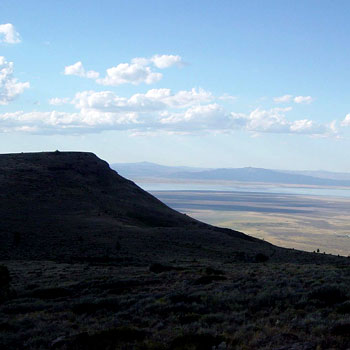 Lights Creek Botanical Survey Plumas National Forest