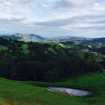 Open Space Preserve Aquatic Habitat Surveys