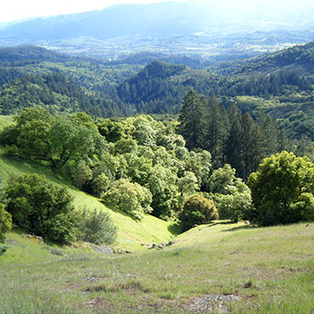 Calabazas Creek Open Space Preserve Property Management Plan